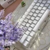 mist-translucent-oem-keycap-set-side3