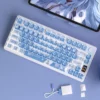neon-genesis-evangelion-reiayanami2-oem-keycapset-side3
