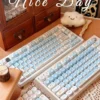 penguin-themed-oem-keycap-set-cover