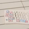 snuggly-penguin-themed-keycap-set-front