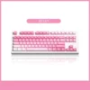 valentine-gradient-oem-keycap-set-front8761