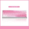 valentine-gradient-oem-keycap-set-front9698100