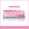 valentine-gradient-oem-keycap-set-side687584