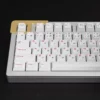 white-bear-japanese-oem-keycap-set-front