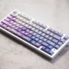wisteria-oem-keycaps-set-side5