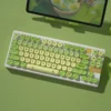 little-frog-oem-keycap-set-side4