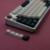 maestro-oem-keycap-set-side3