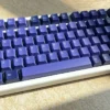 roselia-neo-aspect-oem-keycap-set-cover