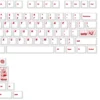 dream-search-mist-transparent-oem-keycapset-white6