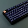 kitsune-oem-keycap-set-side
