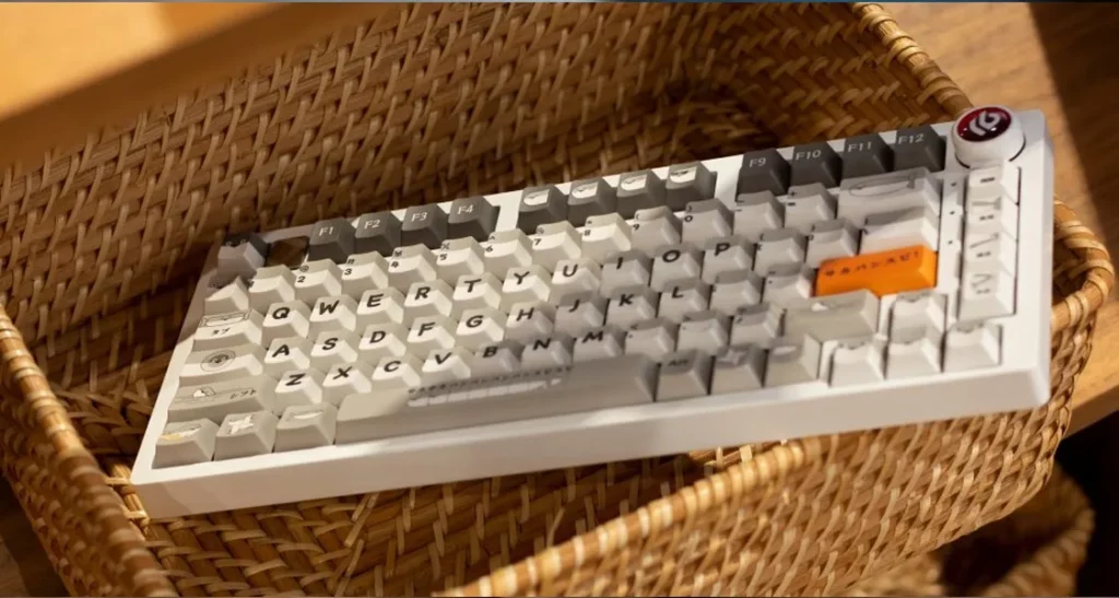 sacabambaspis-oem-keycap-set-side5
