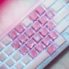 butterfly-supplement-keycap-set-pink