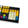 little-bee-oem-keycap-set-side2