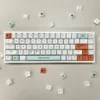 plastic-themed-keycap-set