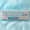 angry-cat-xda-keycap-set-cover