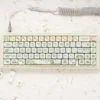 little-dinosaur-xda-keycap-set-cover