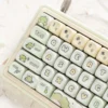 little-dinosaur-xda-keycap-set-side3