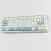 adorable-frog-oem-keycap-set-front