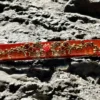 baroque-rose-space-key-transparent-keycaps-red