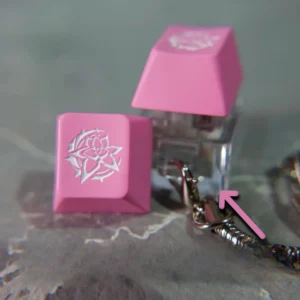 honkai-impact3rd-elysia-signet-logo-keycaps-cover