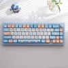seaside-duck-mda-keycap-set-cover