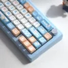 seaside-duck-mda-keycap-set-side2