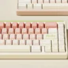 Soft Peach Pink Keycaps set: A charming full set of durable Dye-Sub PBT keycaps, perfect for a cozy and gentle aesthetic.