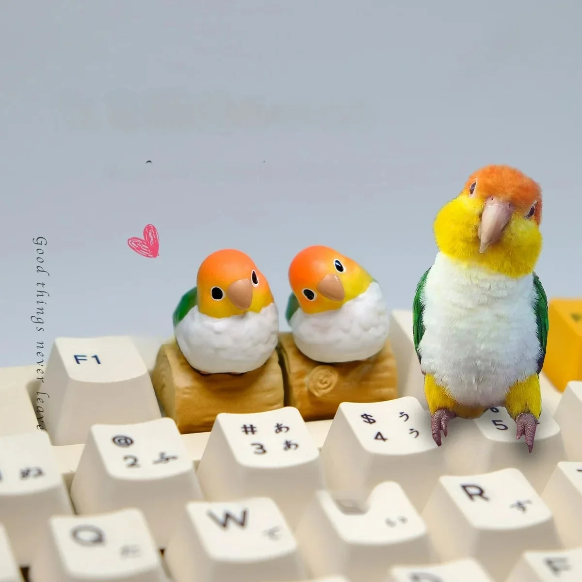 Exquisitely handcrafted vibrant Caique parrot artisan keycap, showcasing intricate details and artistic charm.