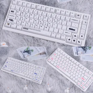 Premium Stylish Designer PBT keycaps set: modern two-tone design with crisp legends, perfectly backlight-compatible for an enhanced aesthetic.