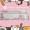 Vibrant, adorable Pixel Cat PBT Keycaps Set. Retro pixel cat motifs on durable PBT, showcasing the MOA profile from all angles.