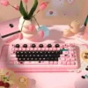 Black Cat PBT Keycap Set on a mechanical keyboard, showcasing the MDA profile and feline legends