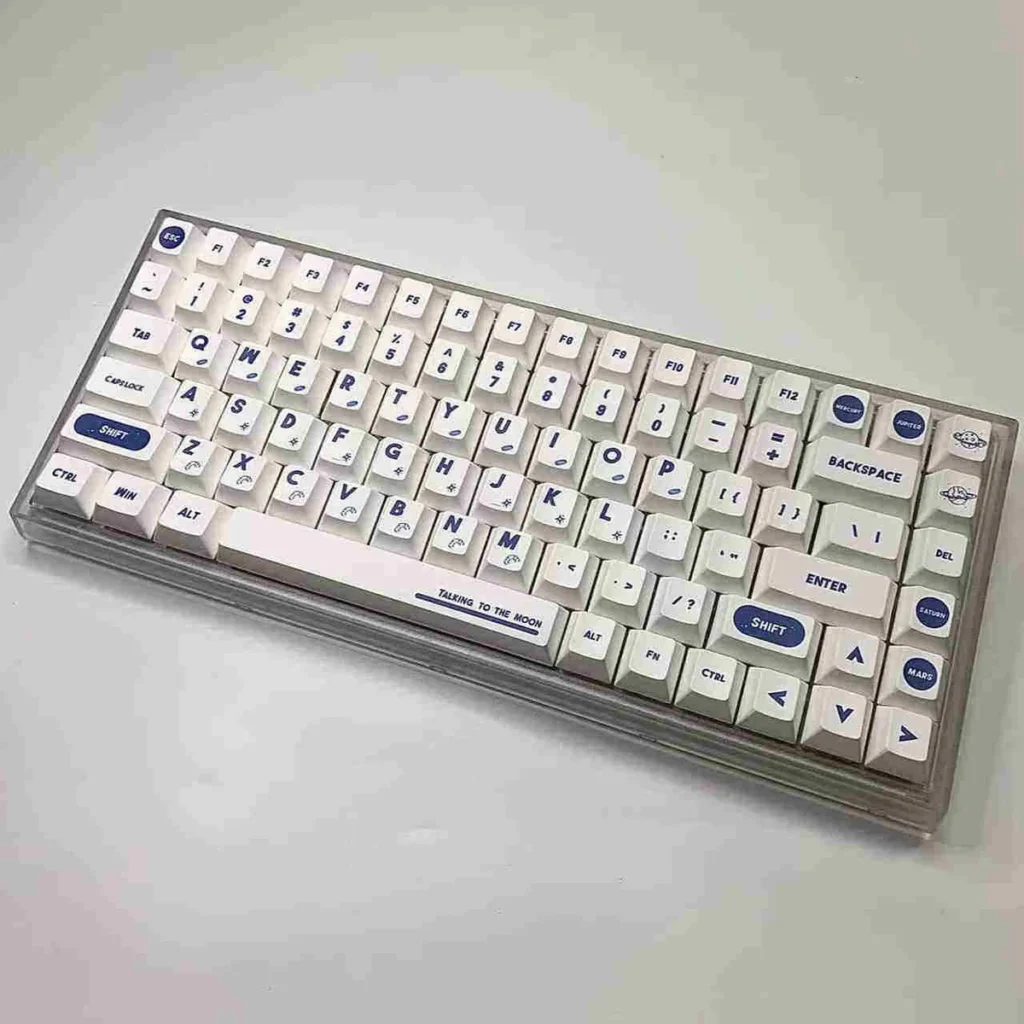 Full set of NASA Astronaut PBT Dye-Sub Keycaps on a mechanical keyboard.