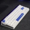 Detailed view of a single Diamond PBT keycap highlighting the backlit legend
