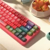 Close-up view of Chinese Zodiac animal keycaps with PBT Dye-sub legends
