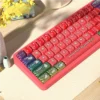 Detailed shot of dye-sublimated legends on Chinese Zodiac themed PBT keycaps