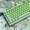 Close-up of Greenery Cherry Keycap Set High-content PBT highlighting details and finish