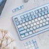 Close-up of translucent MDA profile PBT keycaps showcasing Zayne Winter Series design