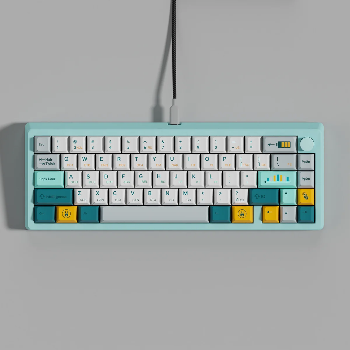 Detail shot of durable PBT material and crisp legends on Retro Evolution keycaps