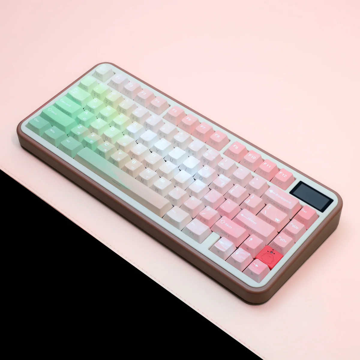 Detailed shot of the durable PBT material and dual-engraved construction of the keycaps