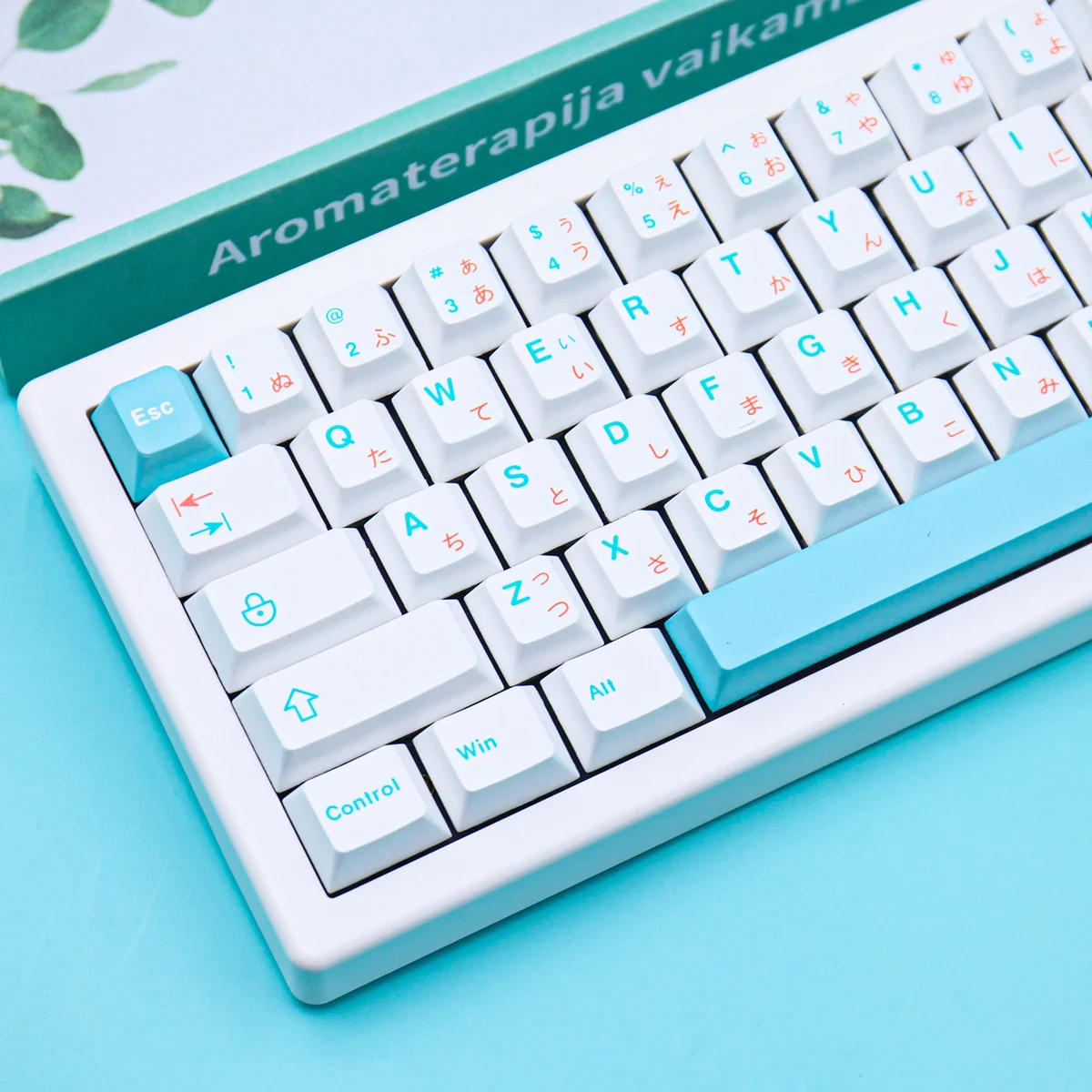 Side profile of Ice Berry Series Cherry Durable PBT refreshing showing keycap set shape and fit
