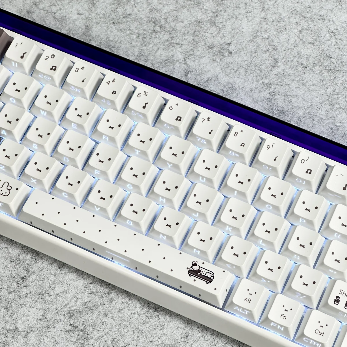 Angled view of Miffy translucent PBT keycaps demonstrating Cherry profile and material quality