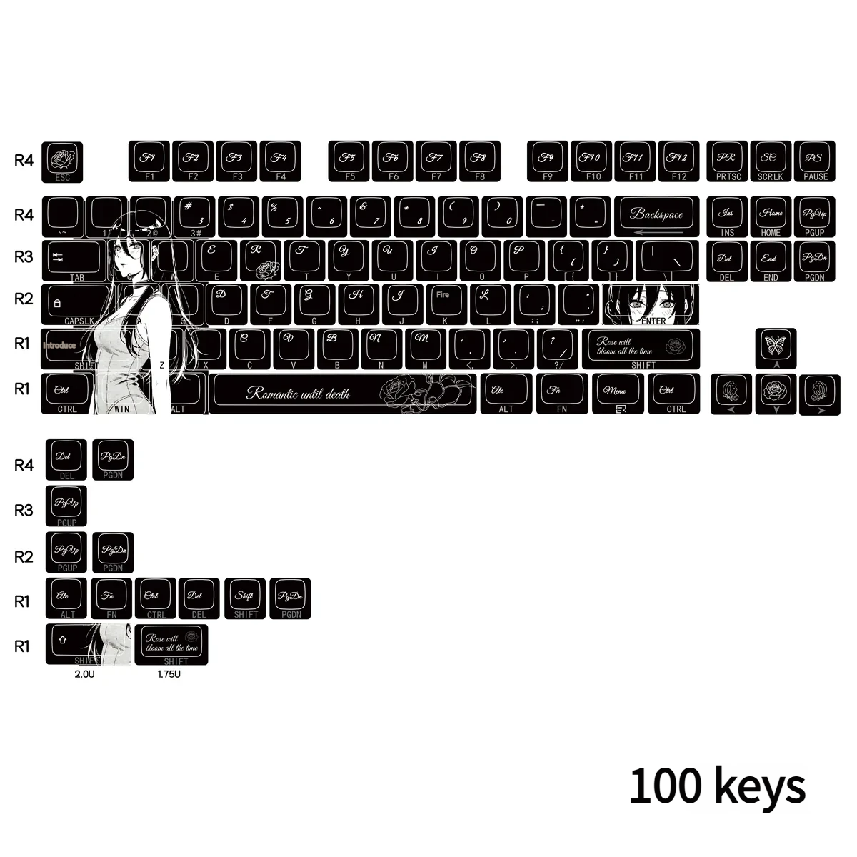 Texture and profile detail of PBT dye-sublimated keycaps