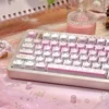PBT Dye-Sublimation Keycaps creating a cozy aesthetic on a mechanical keyboard