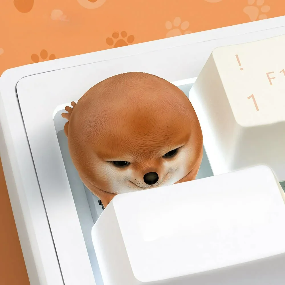 Shiba Inu keycap in its packaging, indicating premium presentation and care.