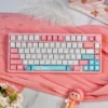 Full Sylveon PBT Dye-Sub Keycap Set on a mechanical keyboard, showcasing pastel colors.
