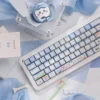Close-up of Chiikawa Hachiware MAO Keycap Beloved Chiikawa highlighting details and finish