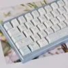 Texture and profile view of Dream Butterfly PBT keycaps