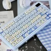 Sea Salt Cat Keycap Set on a mechanical keyboard, showing full layout.