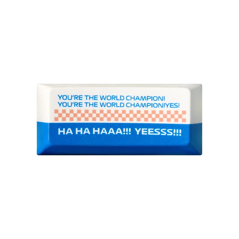 Max Verstappen F1 'Stupid Idiot' Backspace keycap