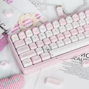 Detail shot of Ballet Poetry accent keycaps featuring unique artistic ballet elements.
